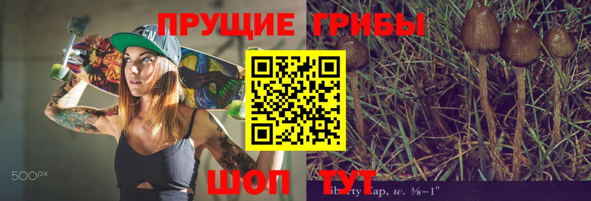 Псилоцибиновые грибы мухоморы Кыштым